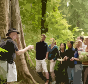 eco-tourism